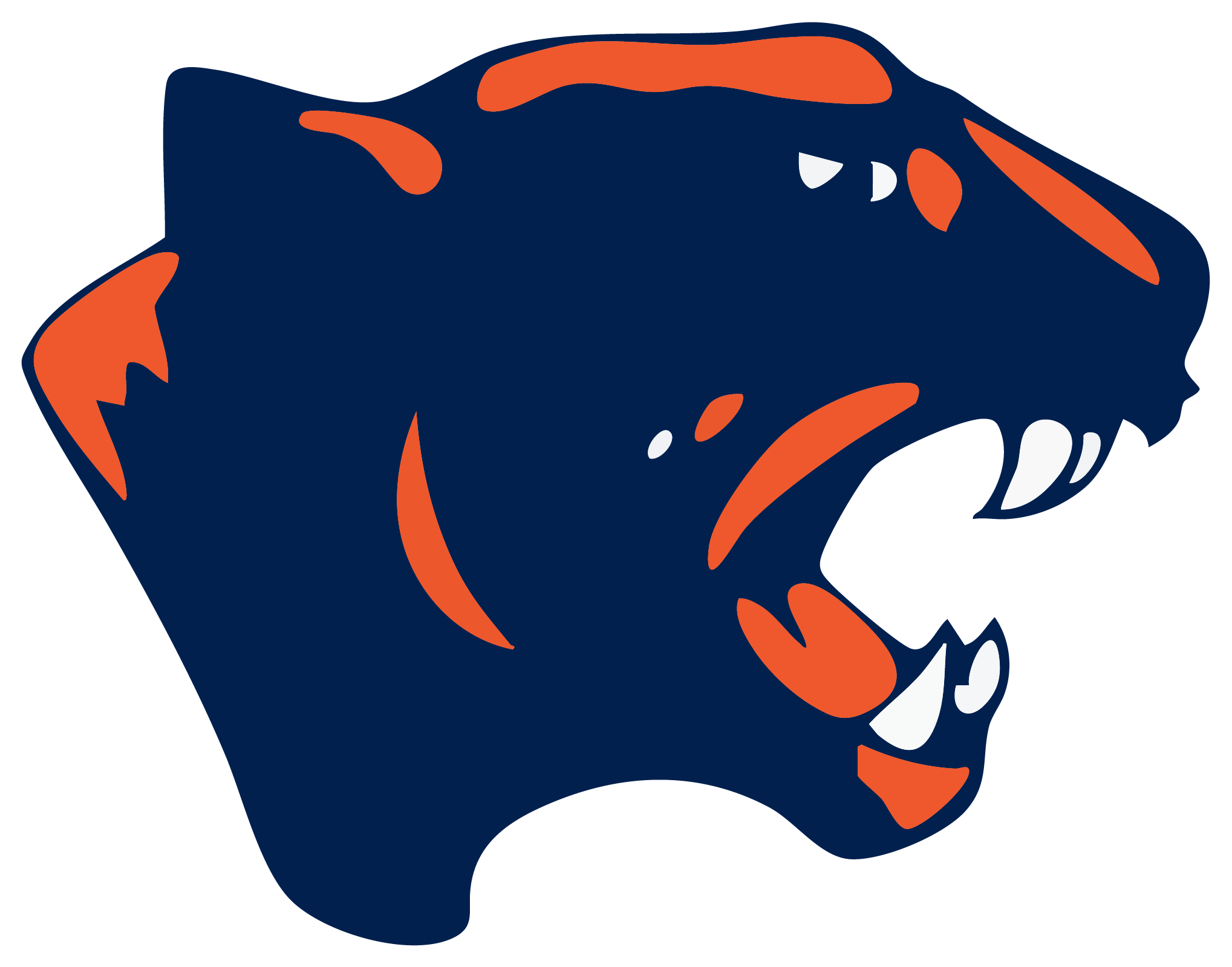 Oswego Panthers Spirit Wear logo