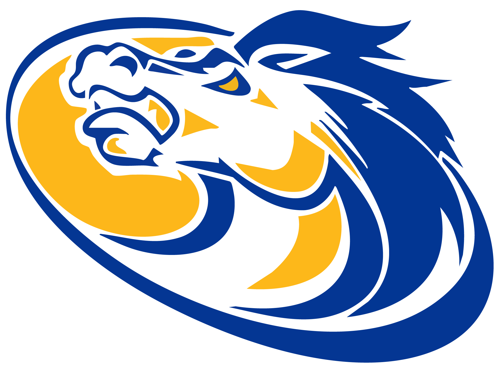 Sahuarita Mustangs Spirit Wear logo