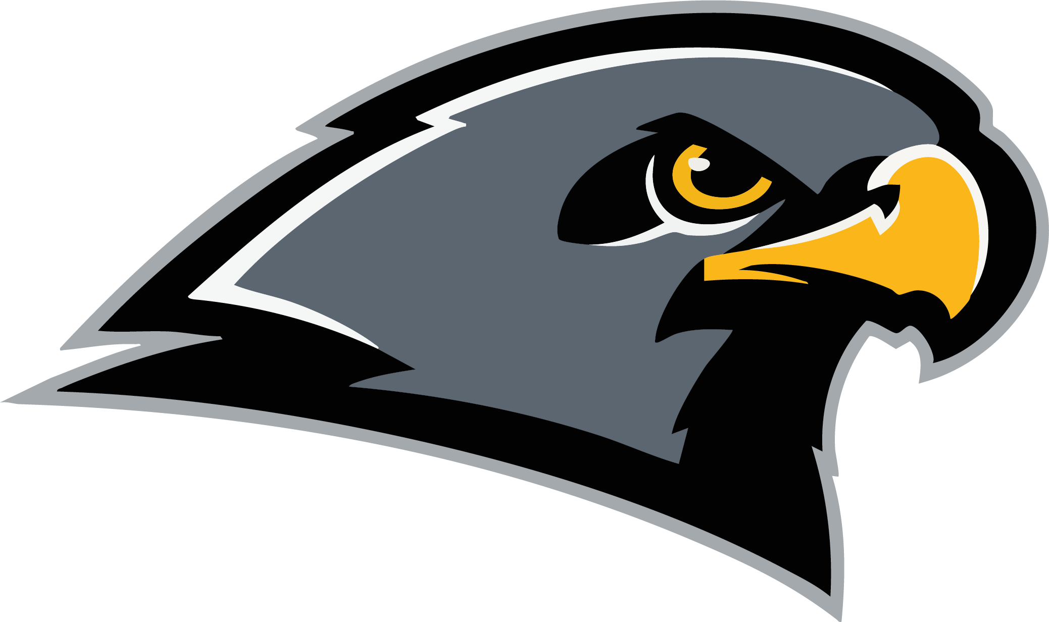 Andrew Hill Falcons Spirit Wear logo