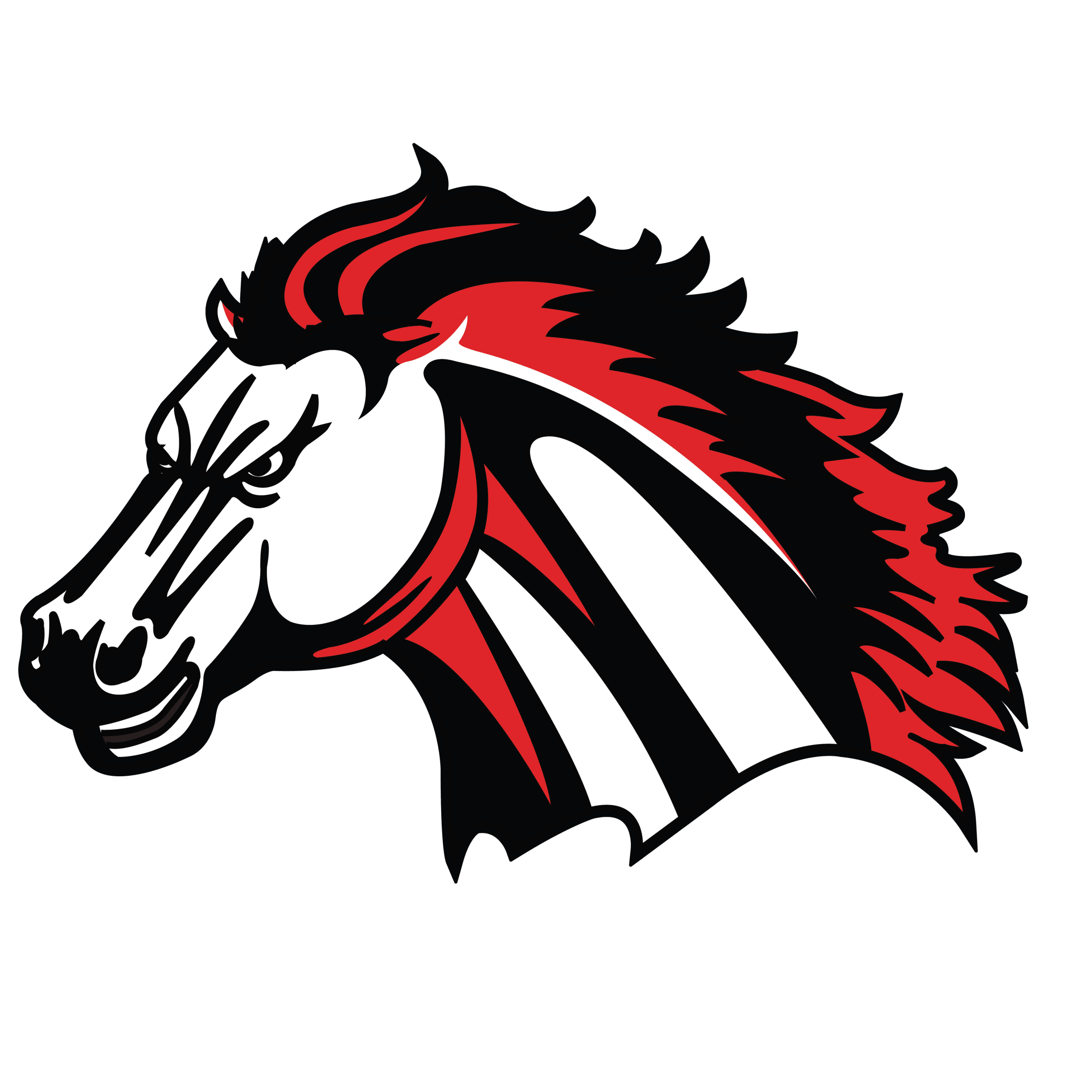 Creekview Mustangs Spirit Wear logo