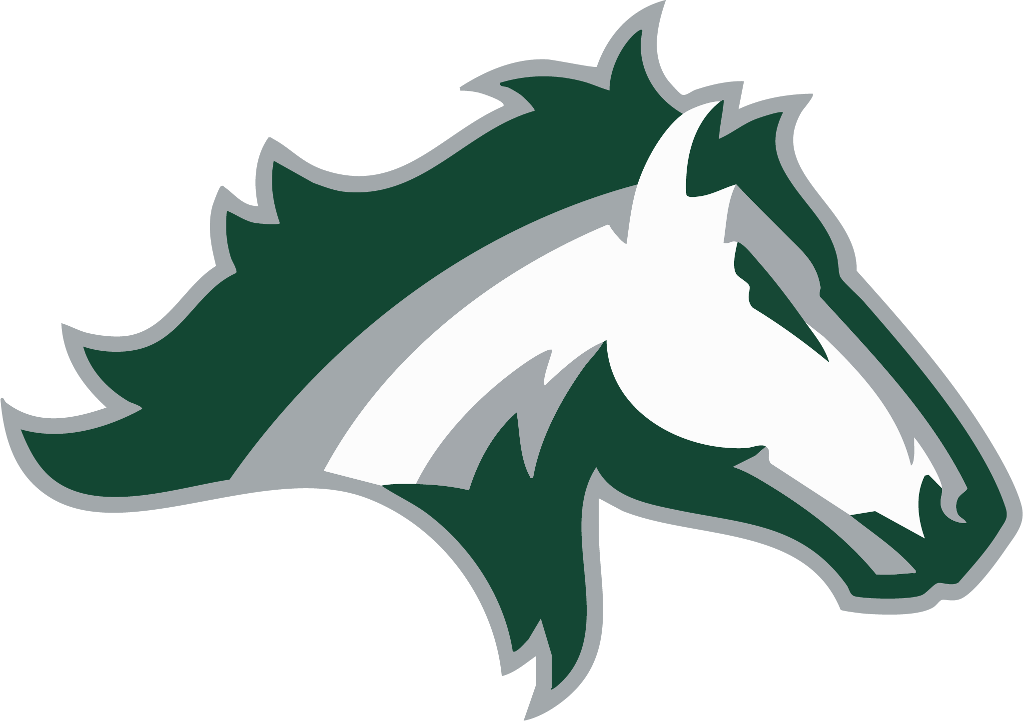 Kennesaw Mustangs Spirit Wear logo