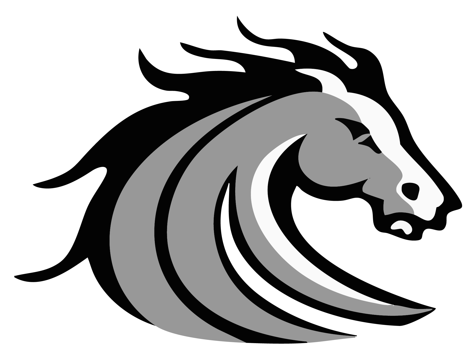 Stockdale Mustangs Spirit Wear logo