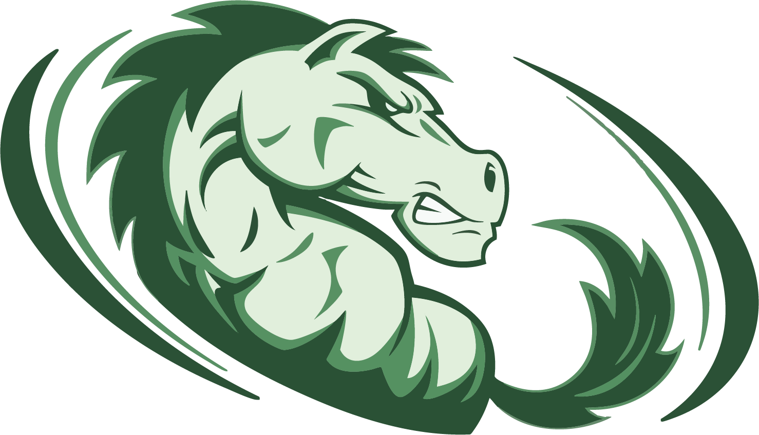 Strongsville Mustangs Spirit Wear logo