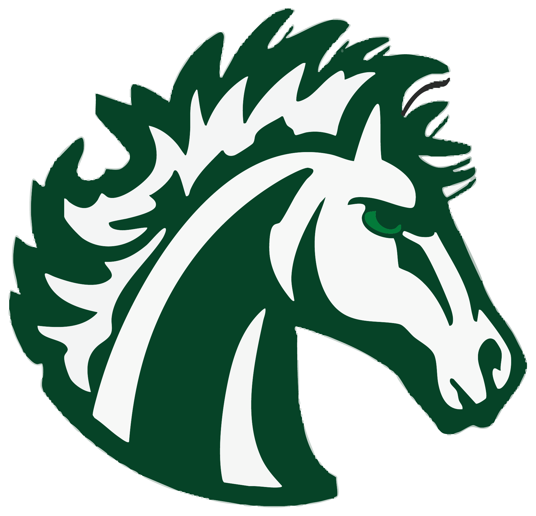 Mounds View Mustangs Spirit Wear logo
