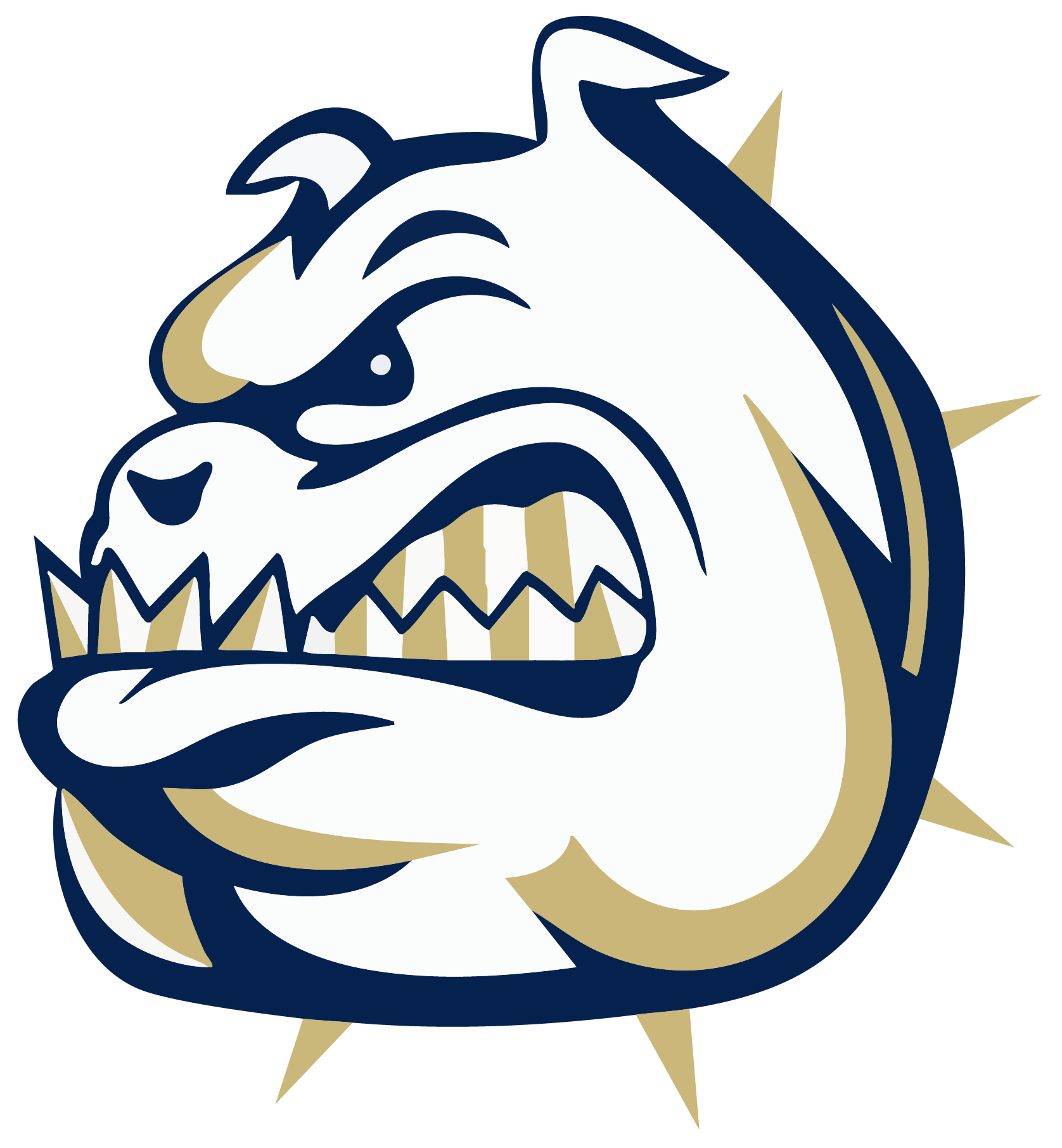 Fairdale Bulldogs Spirit Wear logo