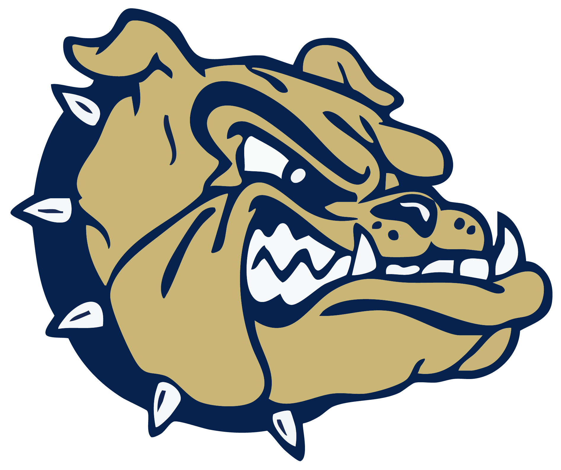 Decatur Bulldogs Spirit Wear logo