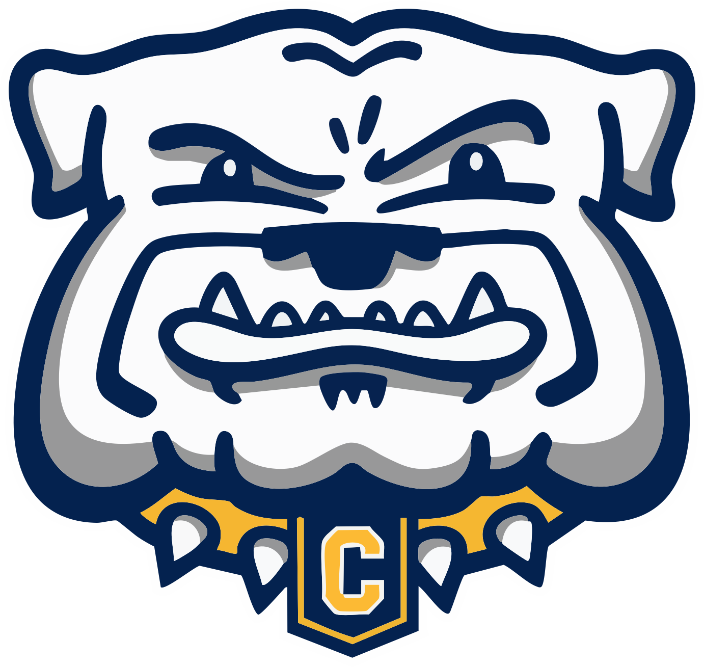 Chelsea Bulldogs Spirit Wear logo