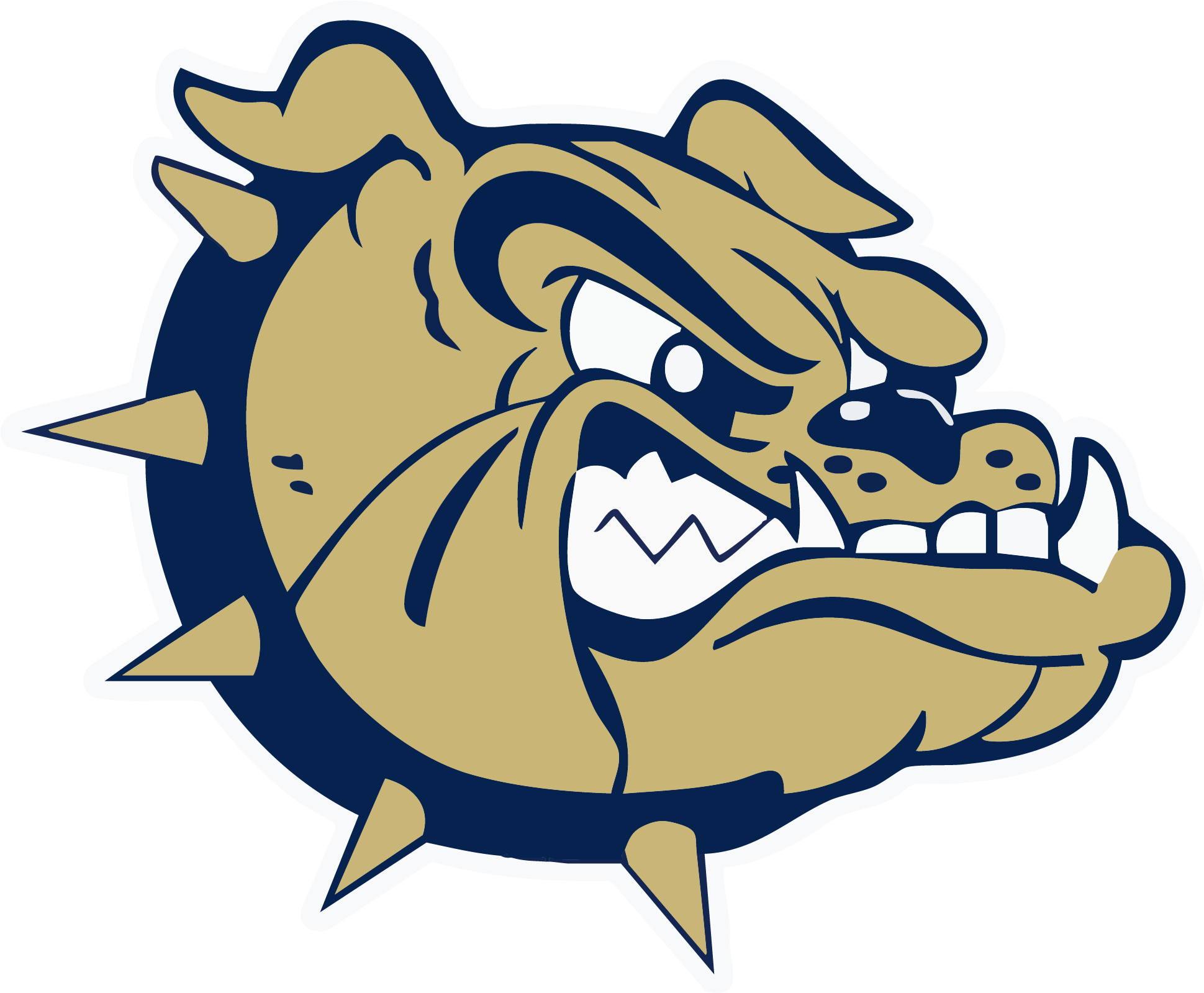 C.D. Hylton Bulldogs Spirit Wear logo