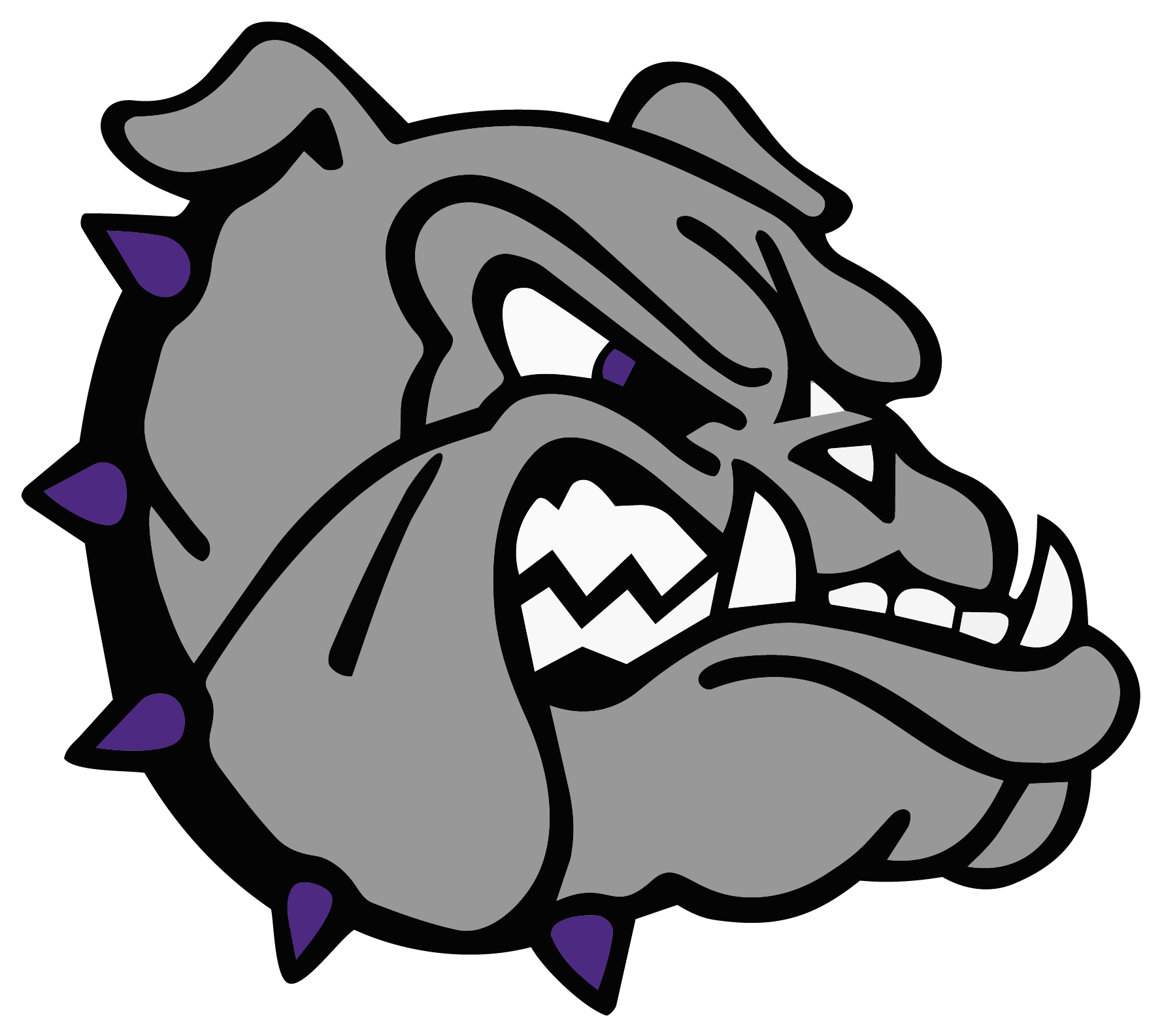 Fayetteville Bulldogs Spirit Wear logo