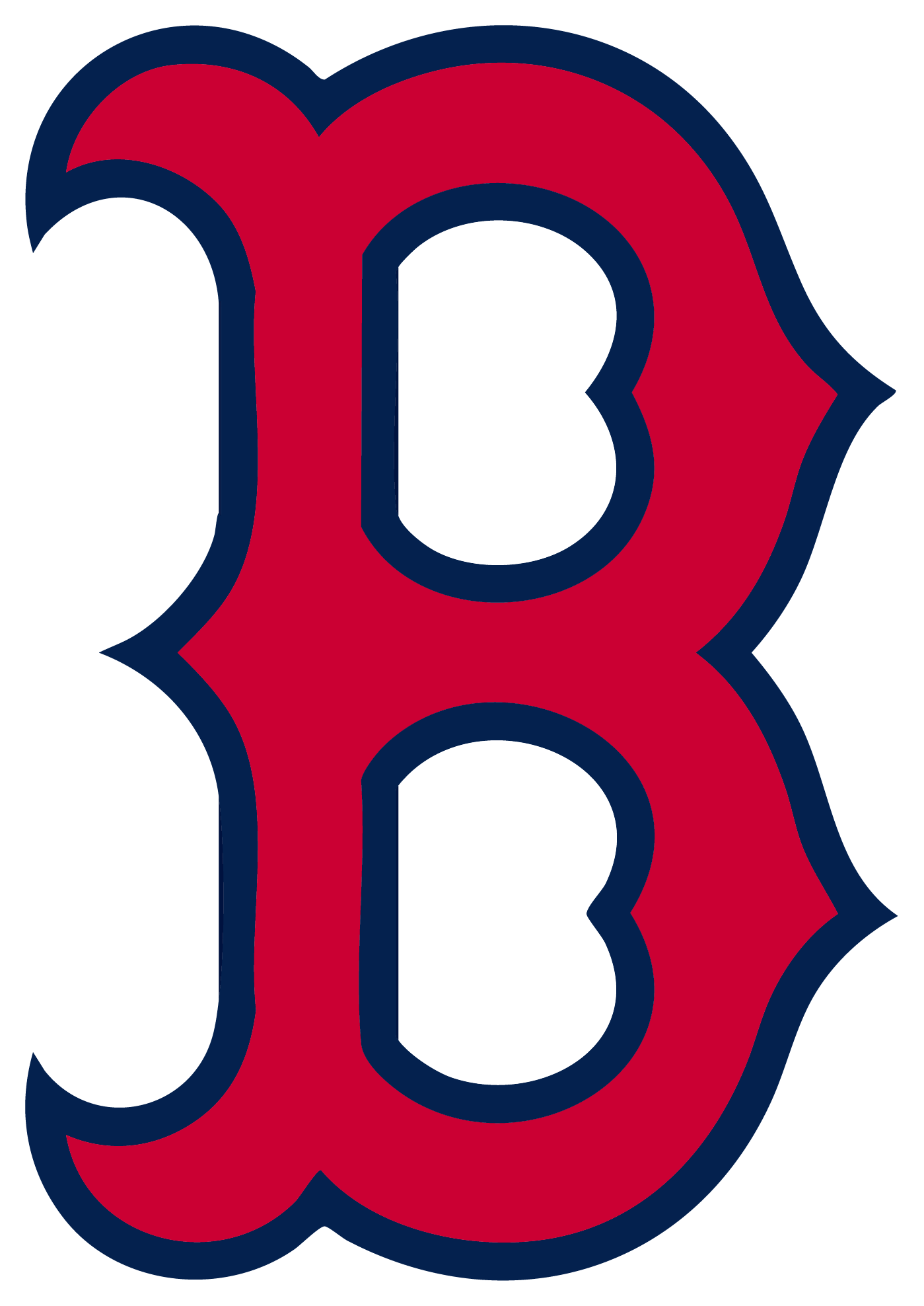 Brookhaven Panthers Spirit Wear logo