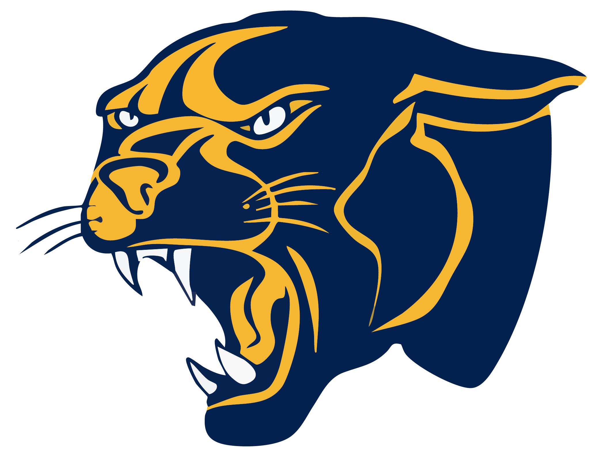 Round Lake Panthers Spirit Wear logo