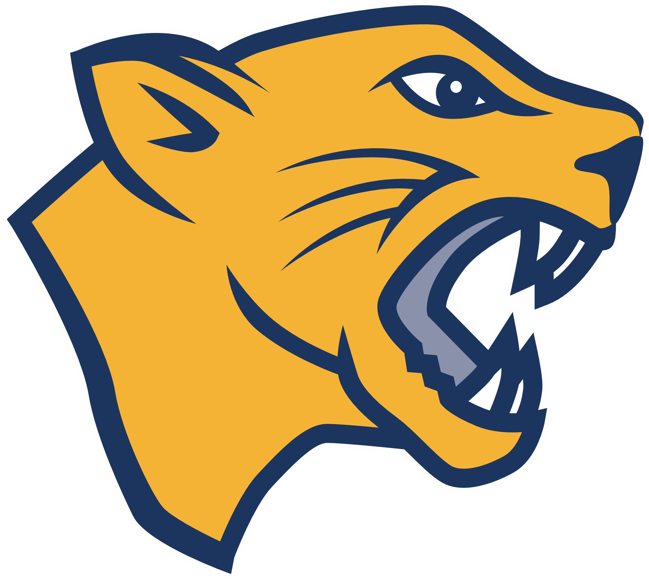 Cheltenham Panthers Spirit Wear logo