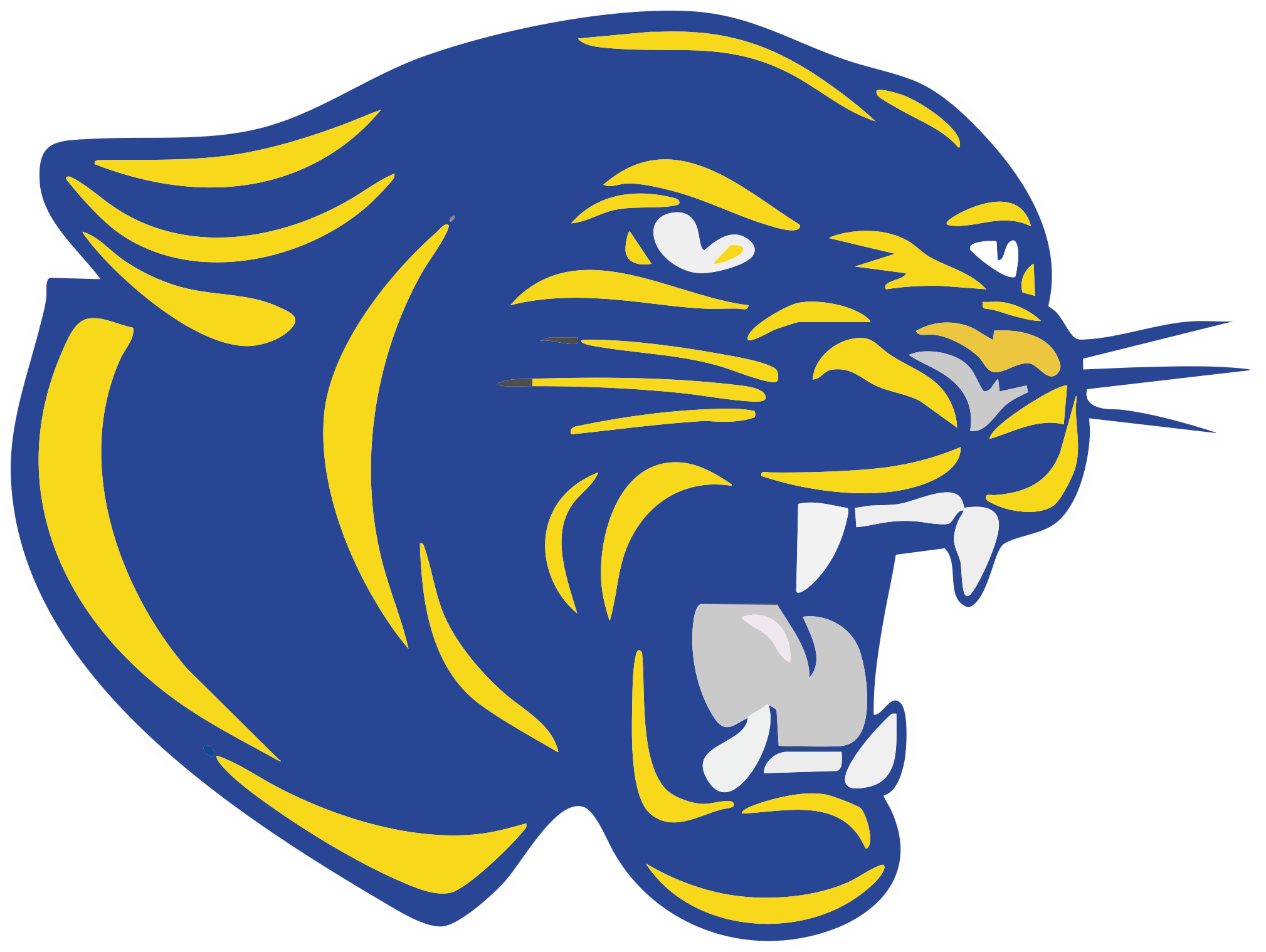 Buckeye Panthers Spirit Wear logo