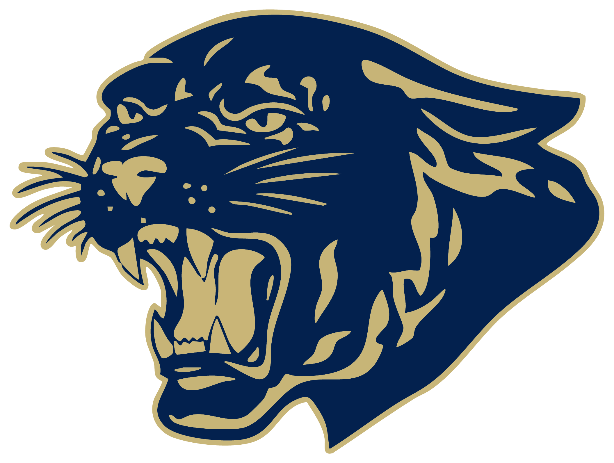 Franklin Panthers Spirit Wear logo