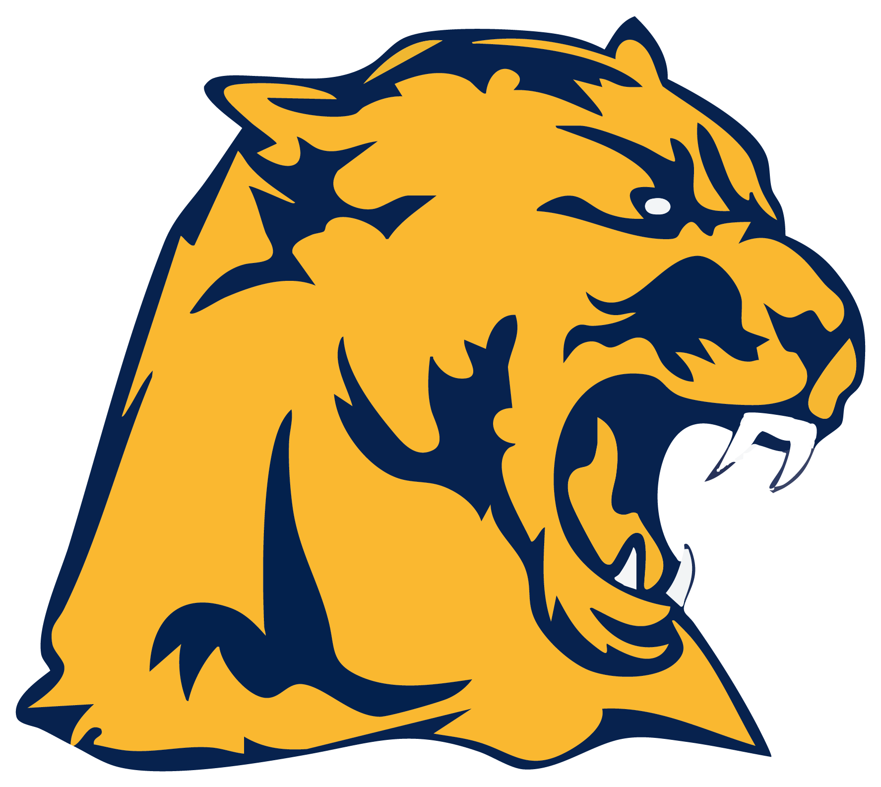 Whitmer Panthers Spirit Wear logo