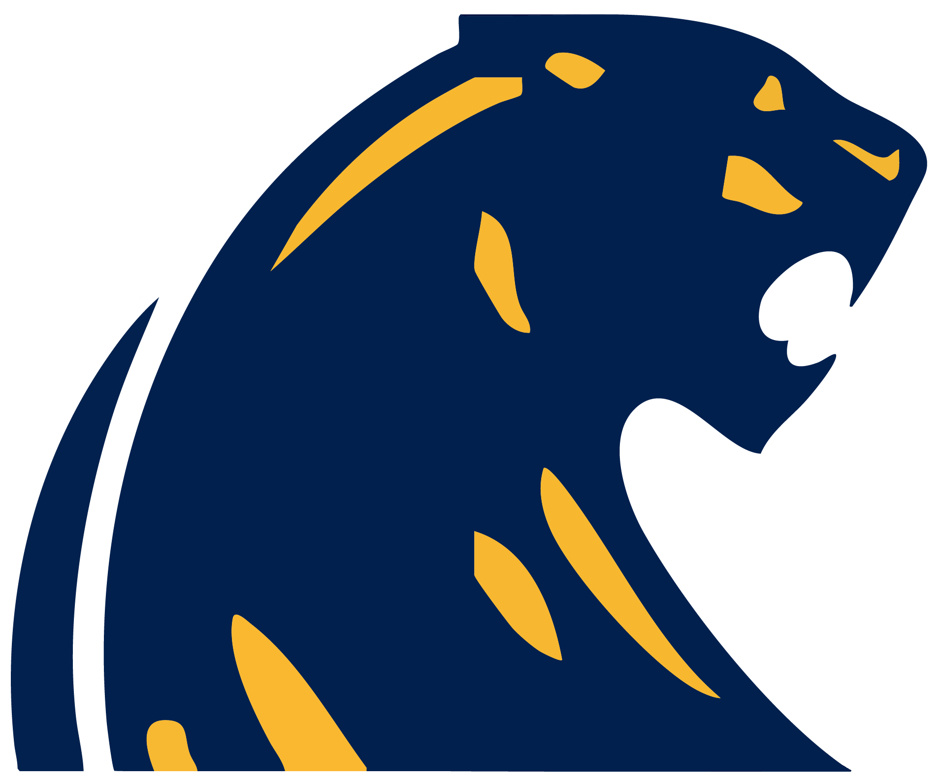 DeWitt Panthers Spirit Wear logo