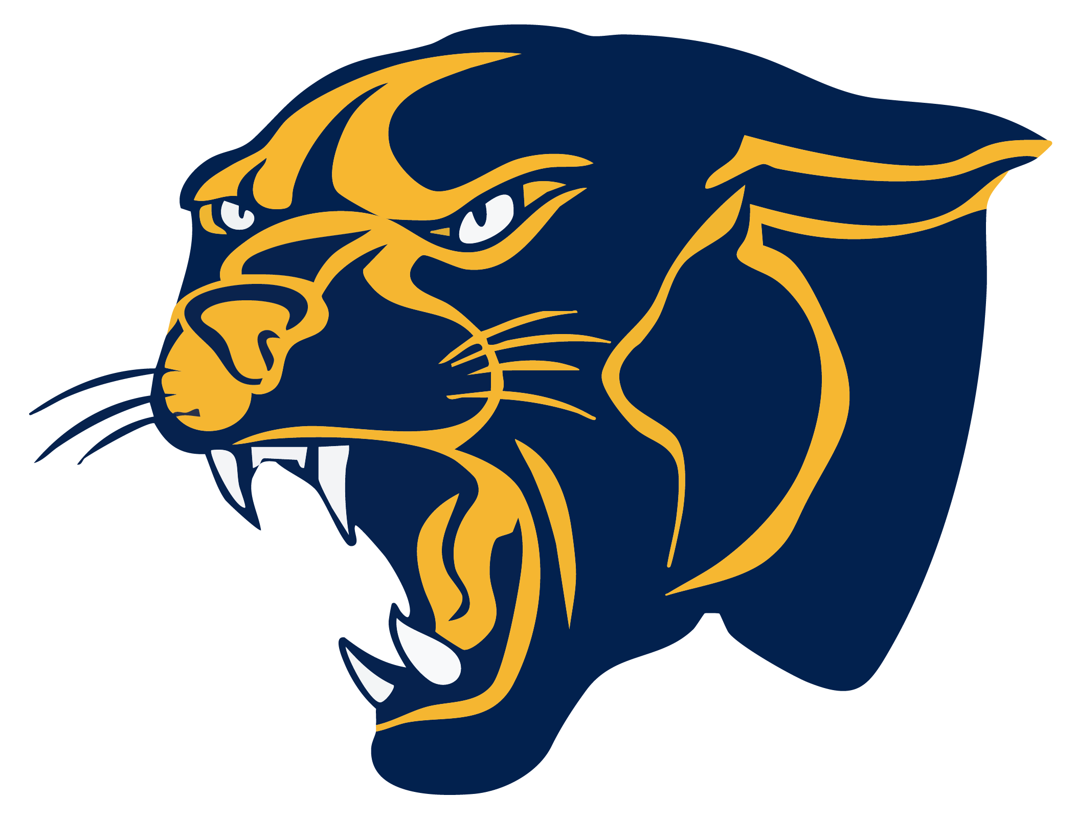 Murphy Panthers Spirit Wear logo