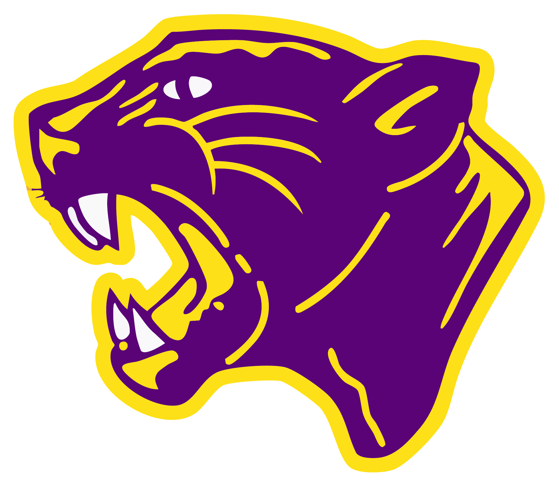 Camden Panthers Spirit Wear logo