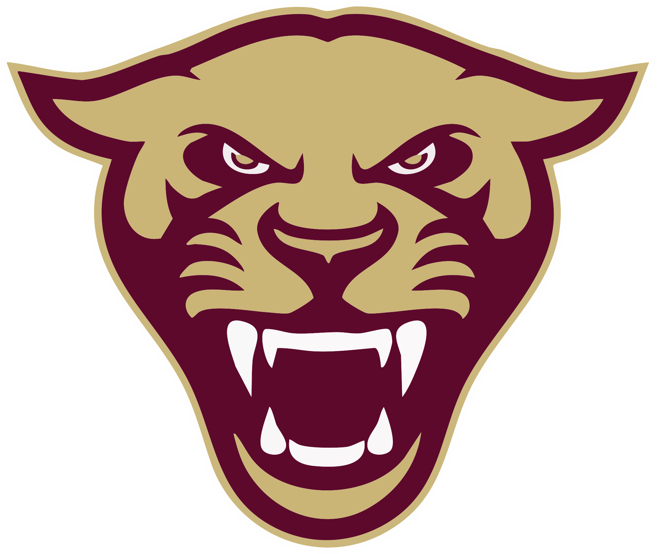 Florin Panthers Spirit Wear logo