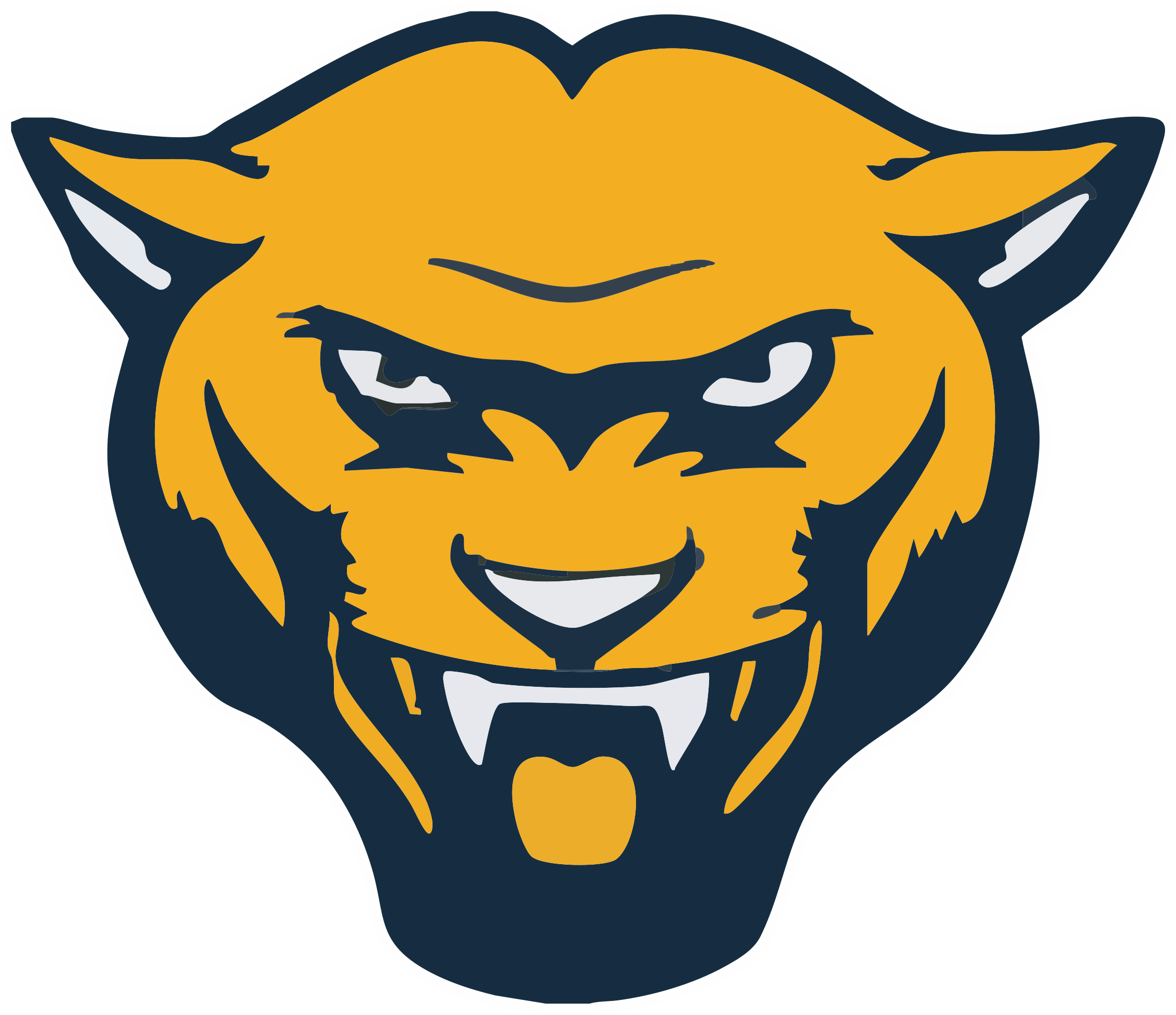 Quabbin Panthers Spirit Wear logo