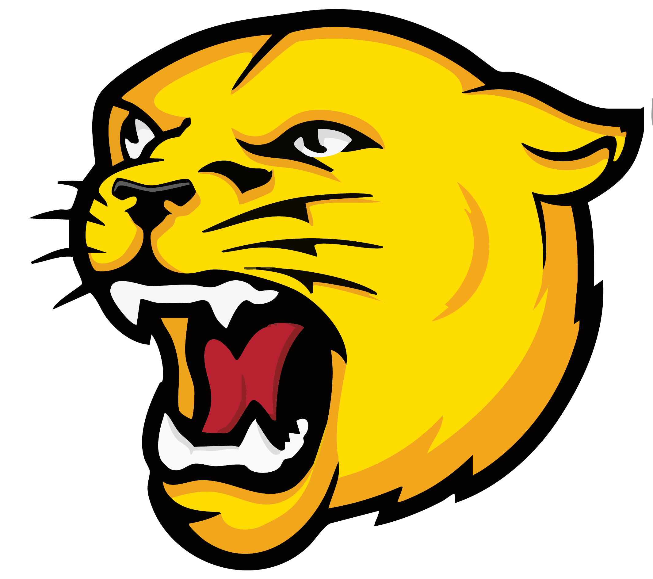 Pflugerville Panthers Spirit Wear logo