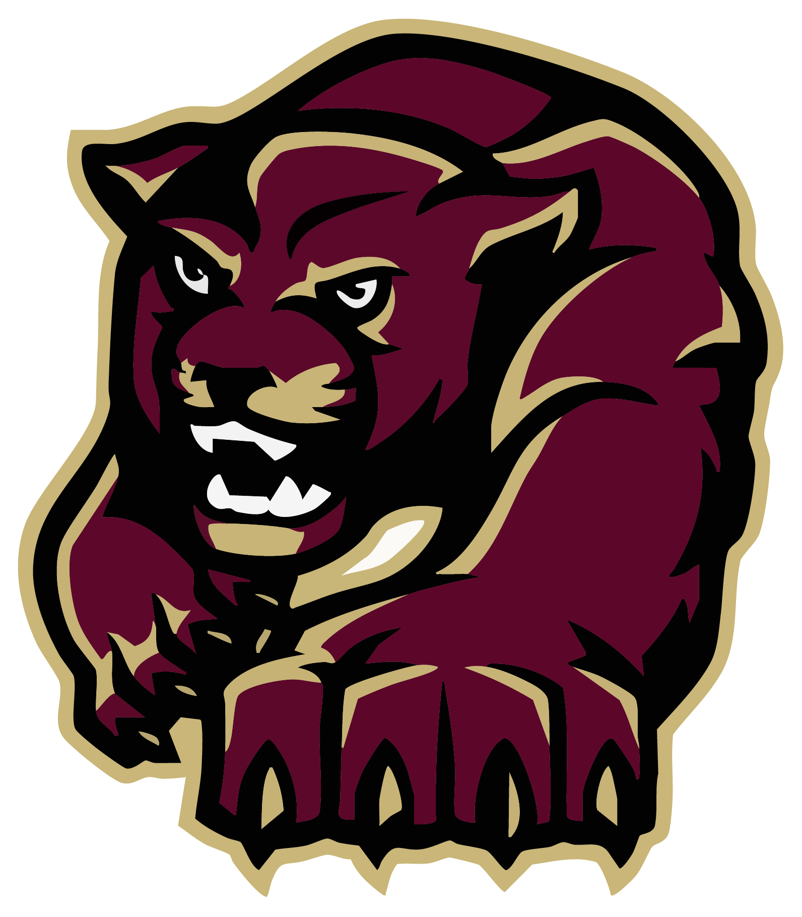 Paint Branch Panthers Spirit Wear logo