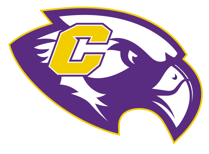 Columbus Falcons Spirit Wear logo