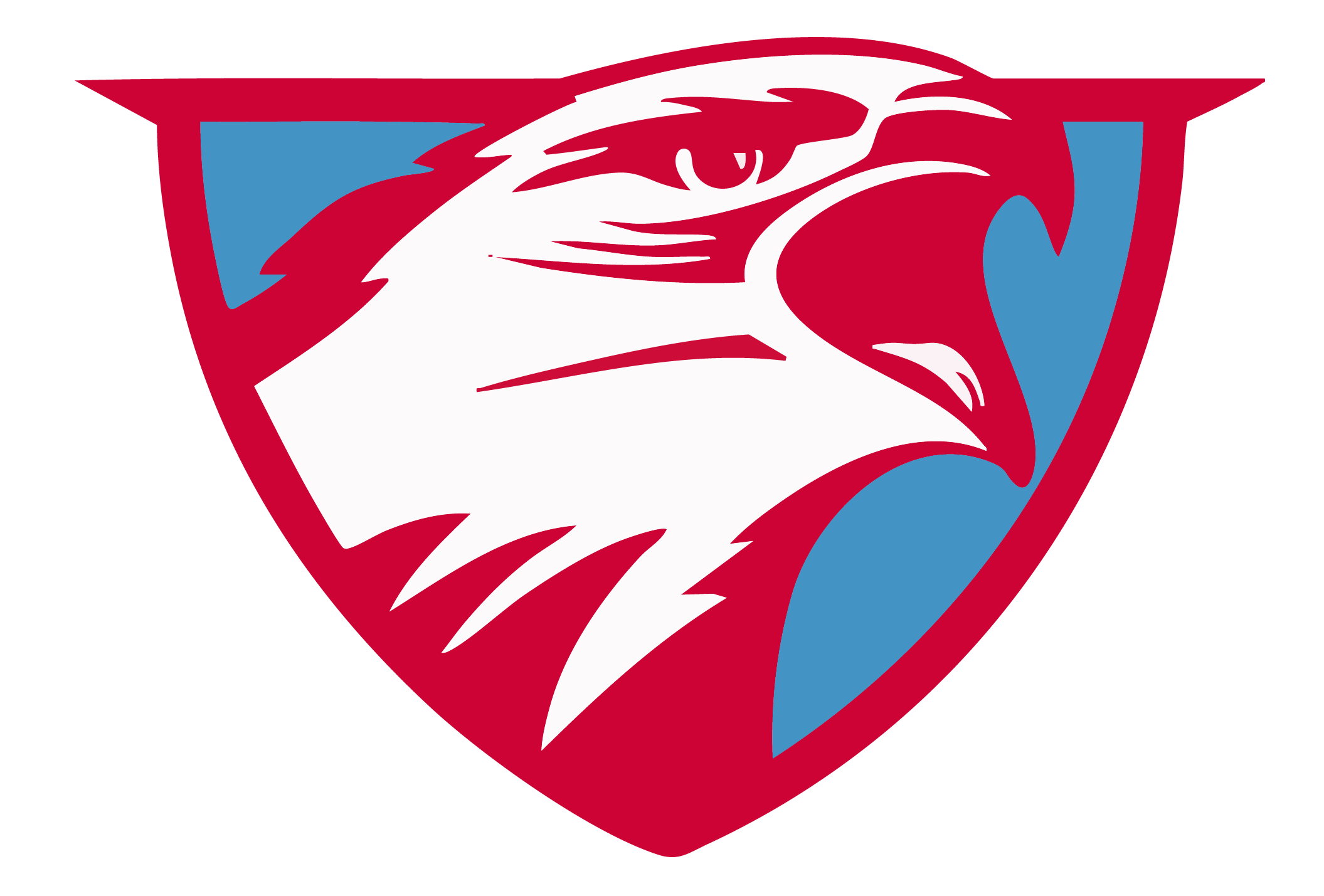 AC Flora Falcons Spirit Wear logo