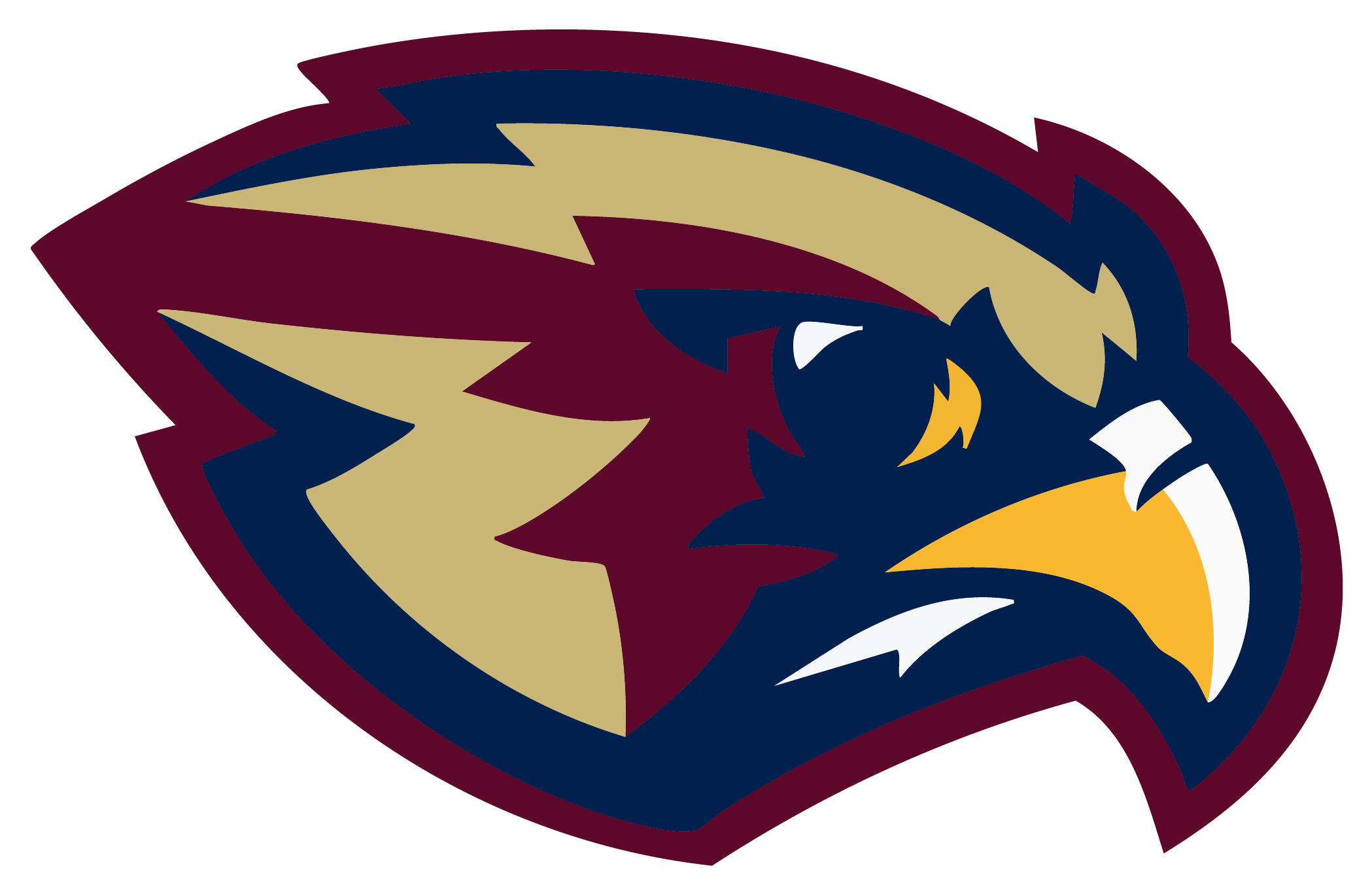 Pebblebrook Falcons Spirit Wear logo