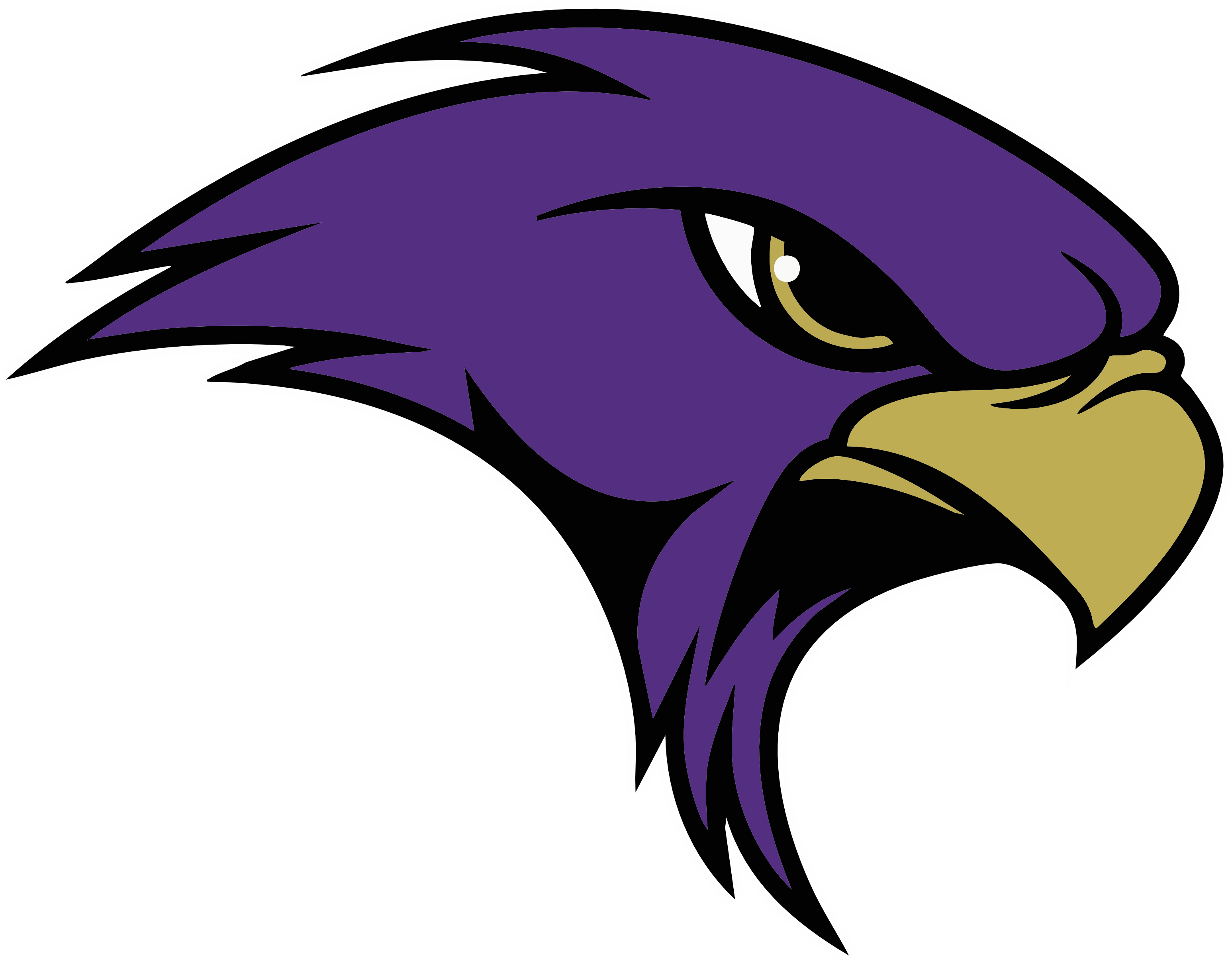 Timber Creek Falcons Spirit Wear logo