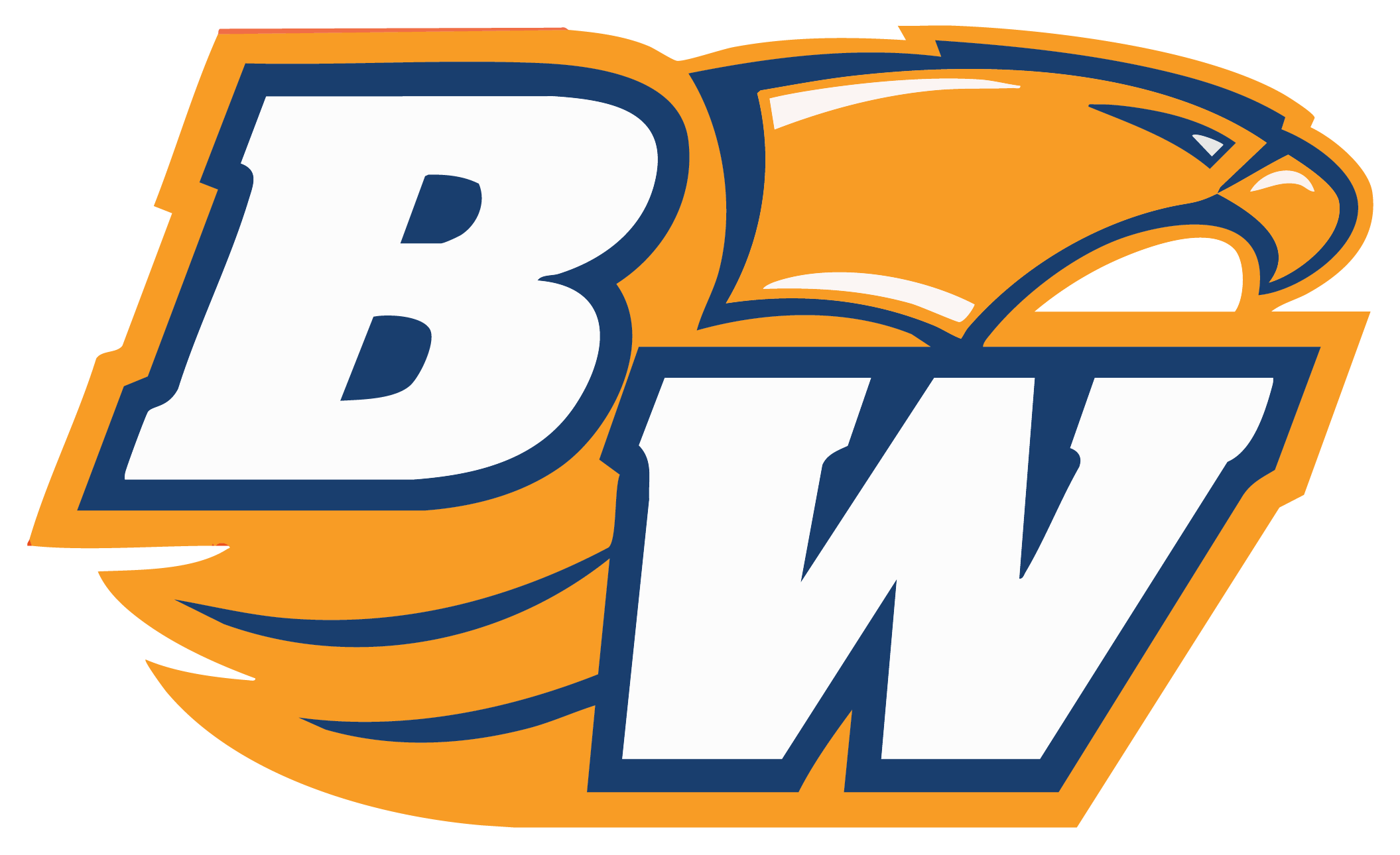 Briar Woods Falcons Spirit Wear logo